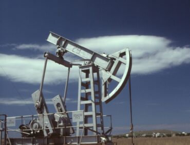 pexels-yurashkoda-7392237